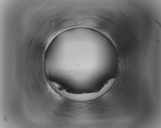 X0000100381532200806271322