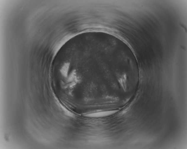 X0000100381533200806271322
