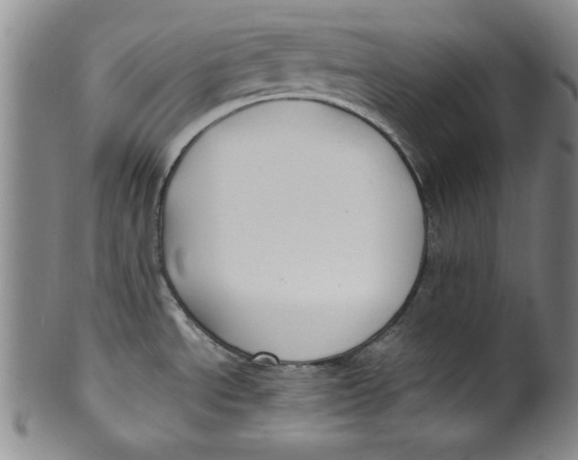 X0000100381534200806271322