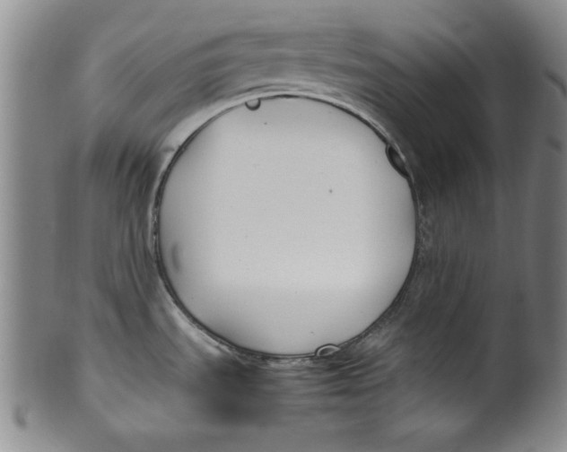 X0000100381535200806271323