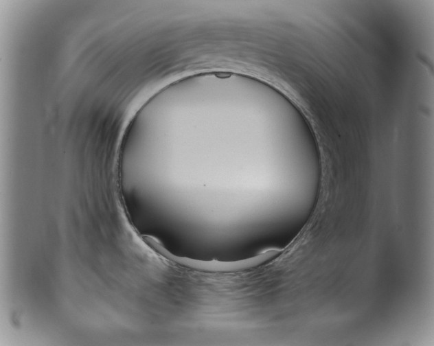 X0000100381536200806271323