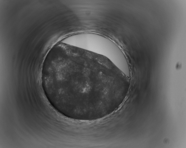 X0000100380002200807031936