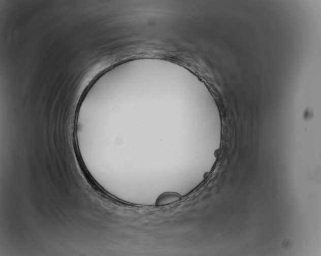 X0000100380003200807031936