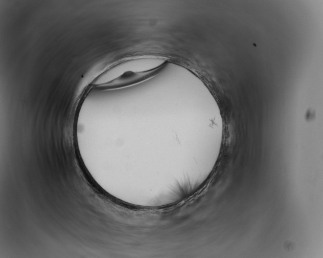 X0000100380004200807031936