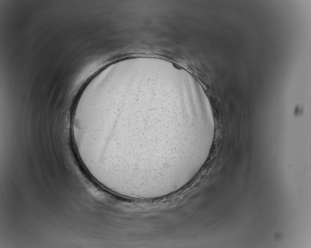 X0000100380005200807031936