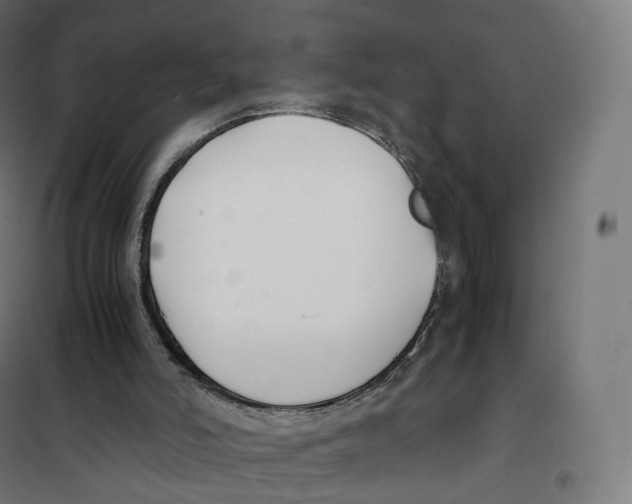 X0000100380006200807031936