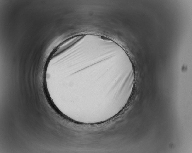 X0000100380007200807031936
