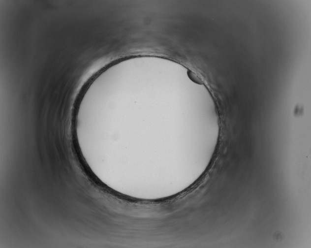 X0000100380008200807031936