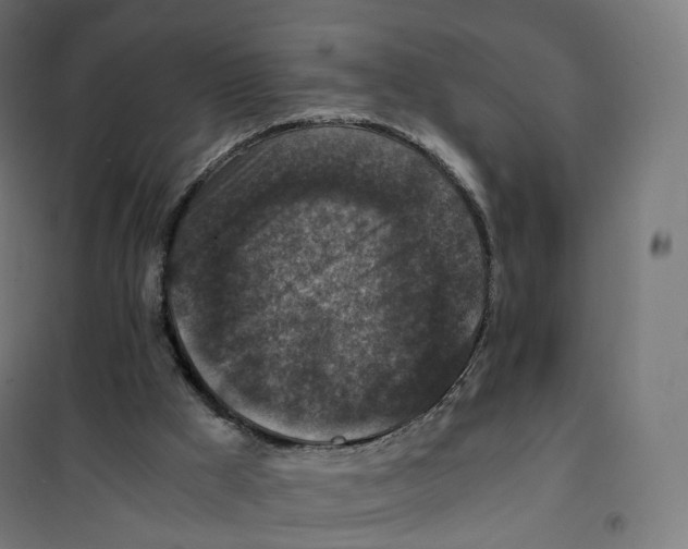 X0000100380009200807031936