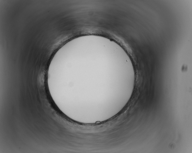 X0000100380010200807031936