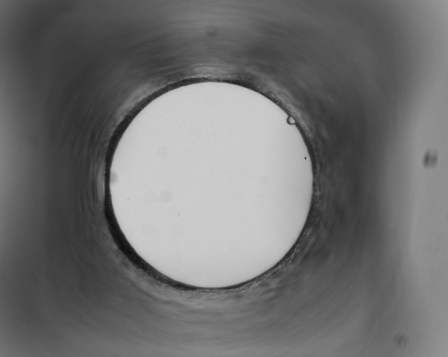 X0000100380011200807031936