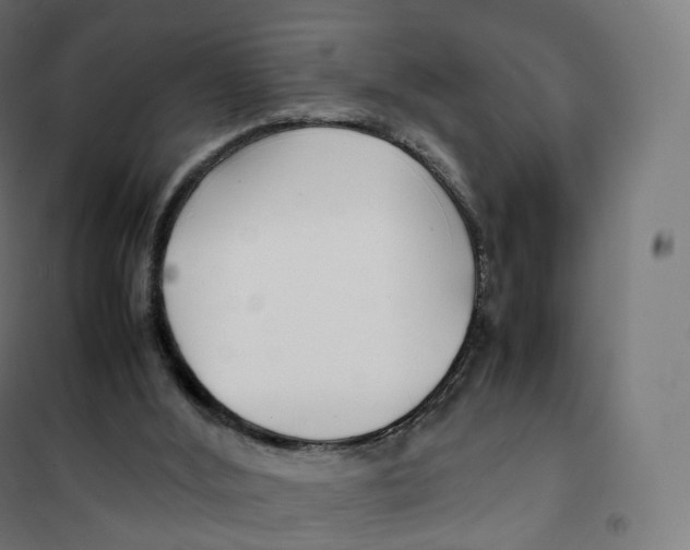 X0000100380012200807031936