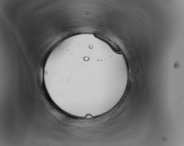 X0000100380013200807031936