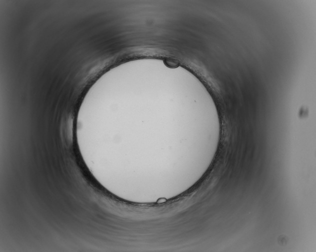 X0000100380014200807031936