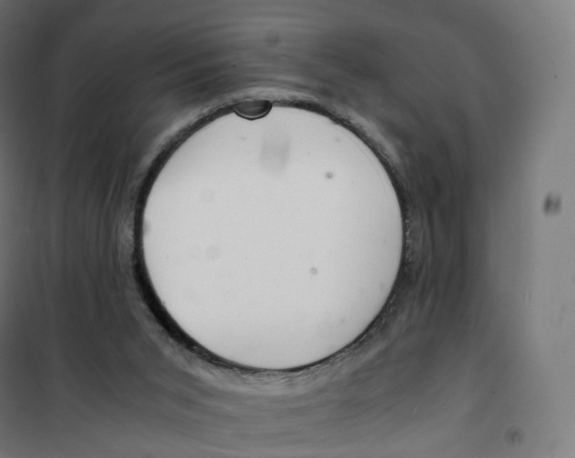 X0000100380015200807031936