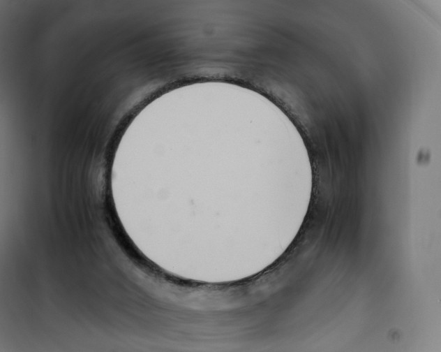X0000100380016200807031936