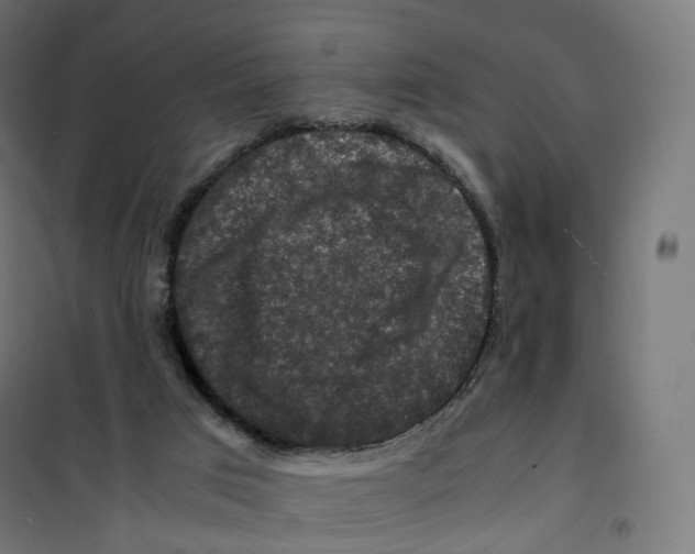 X0000100380017200807031936