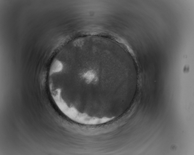 X0000100380018200807031936