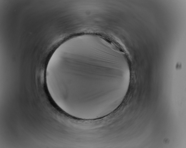 X0000100380019200807031936