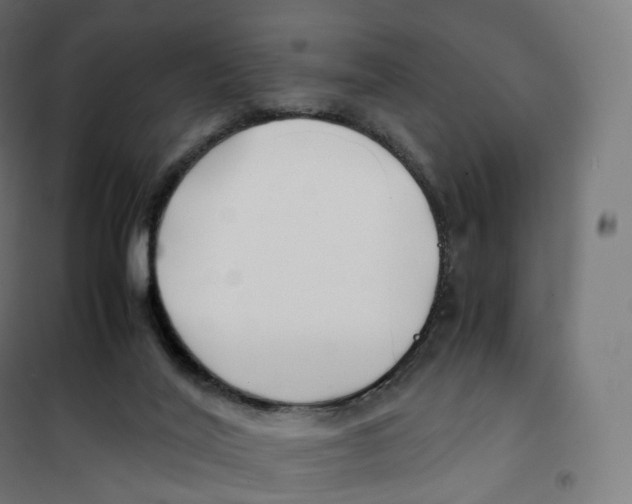 X0000100380020200807031936