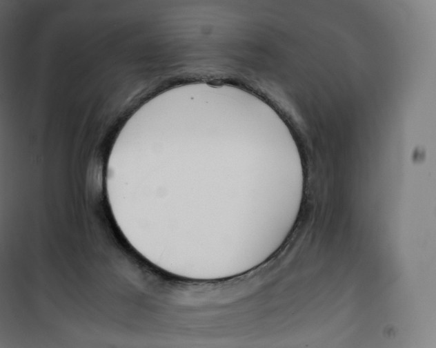 X0000100380021200807031936