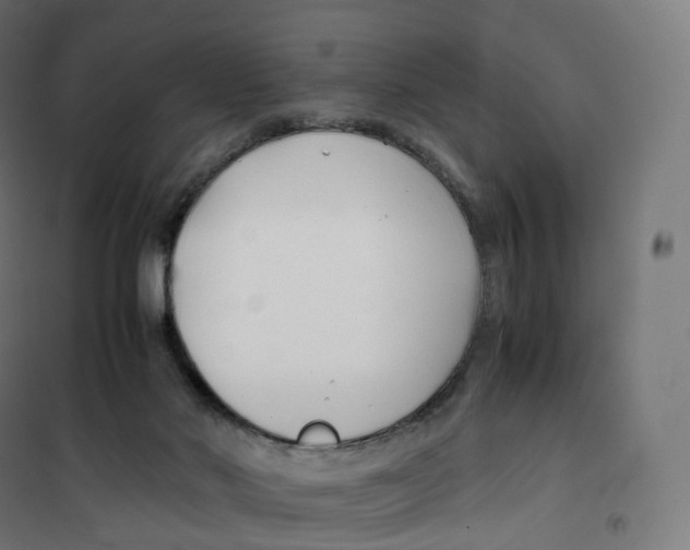X0000100380022200807031936