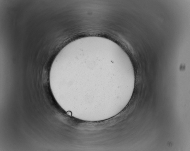 X0000100380025200807031936