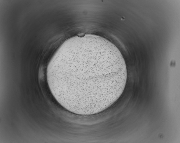 X0000100380026200807031936