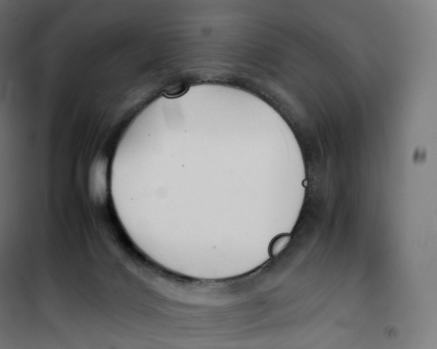 X0000100380028200807031936