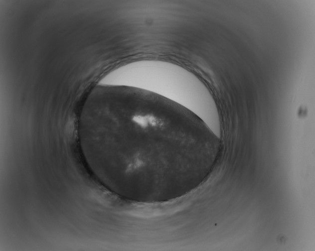 X0000100380029200807031936