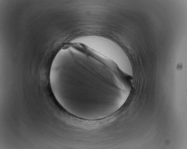 X0000100380031200807031936
