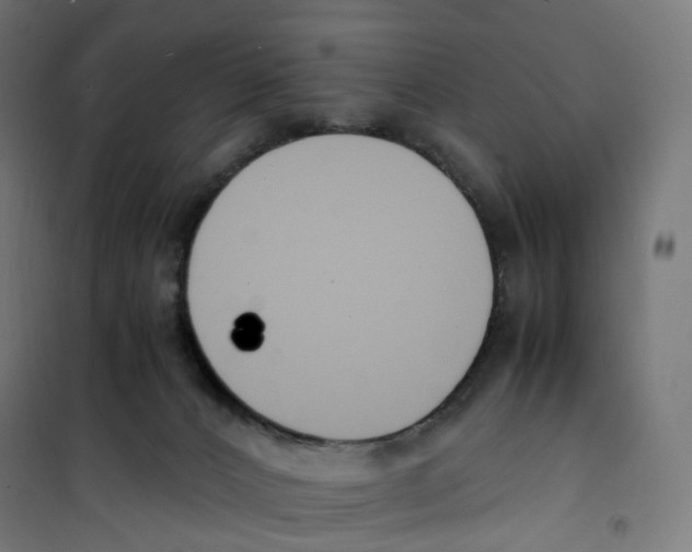 X0000100380032200807031936