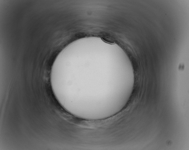 X0000100380033200807031936