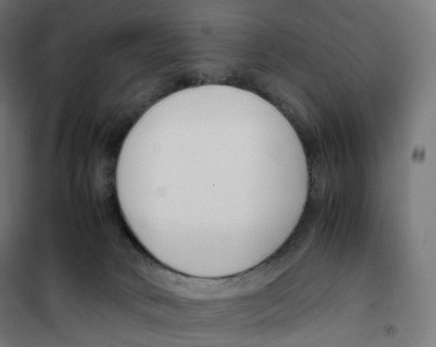 X0000100380034200807031936