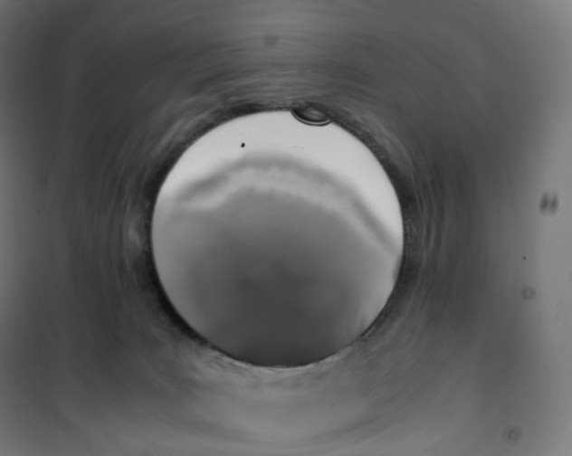 X0000100380035200807031936