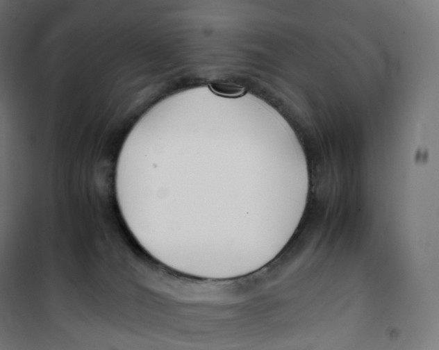 X0000100380036200807031936