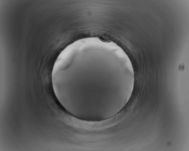 X0000100380039200807031935