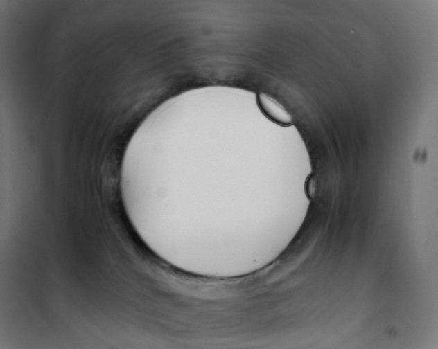 X0000100380040200807031935