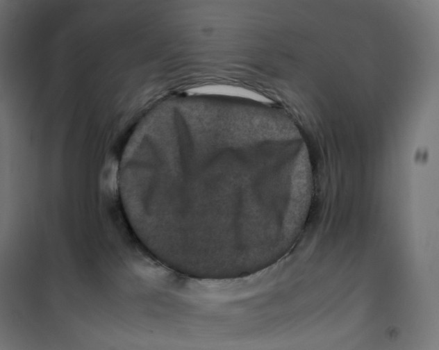 X0000100380041200807031935