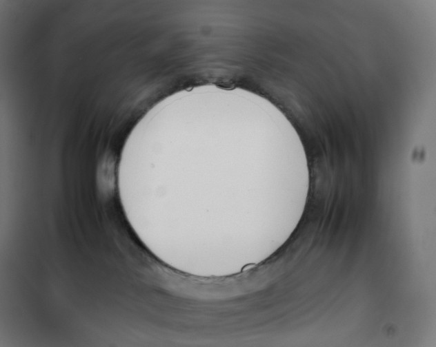 X0000100380042200807031935