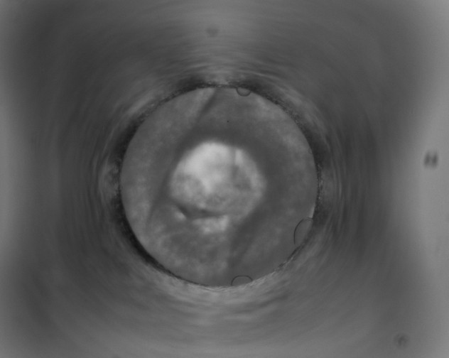 X0000100380043200807031935