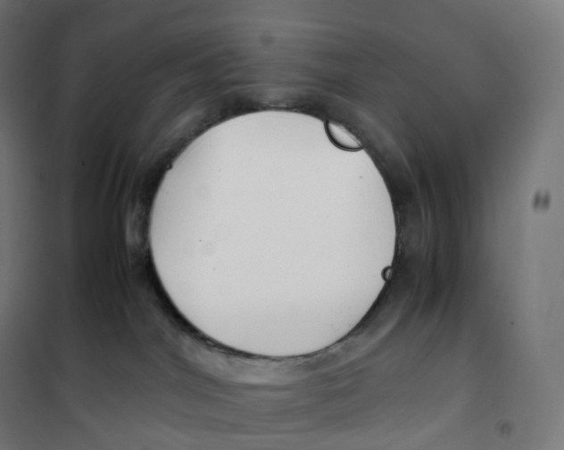 X0000100380044200807031935