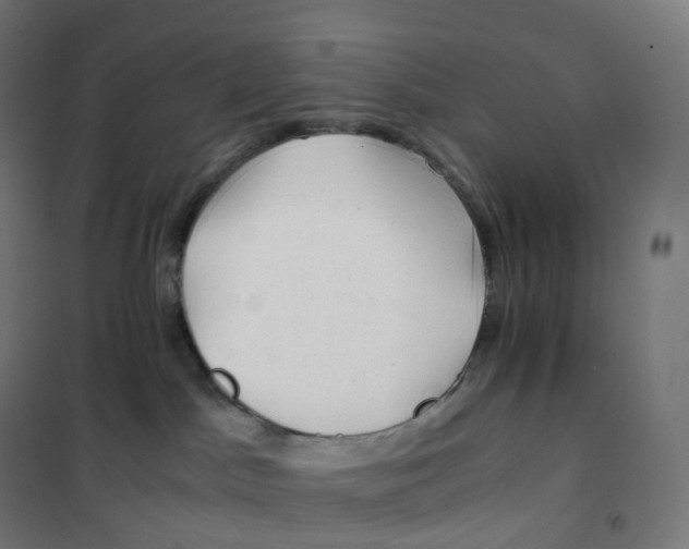 X0000100380045200807031935
