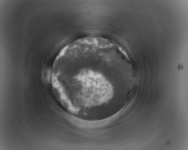 X0000100380047200807031935