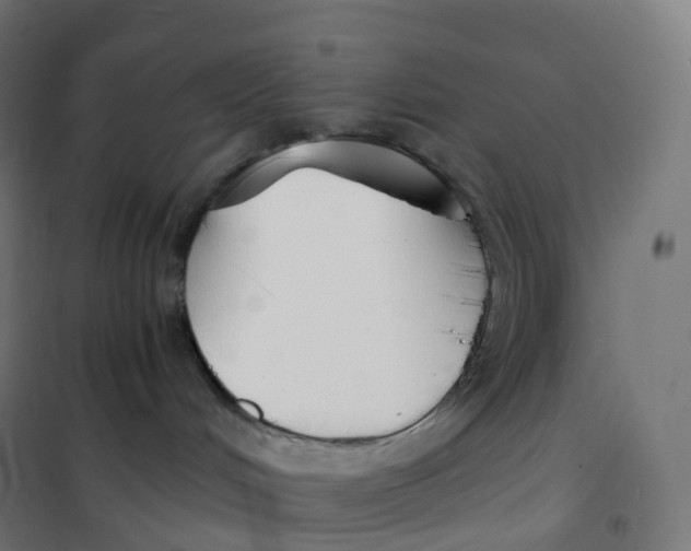 X0000100380048200807031935
