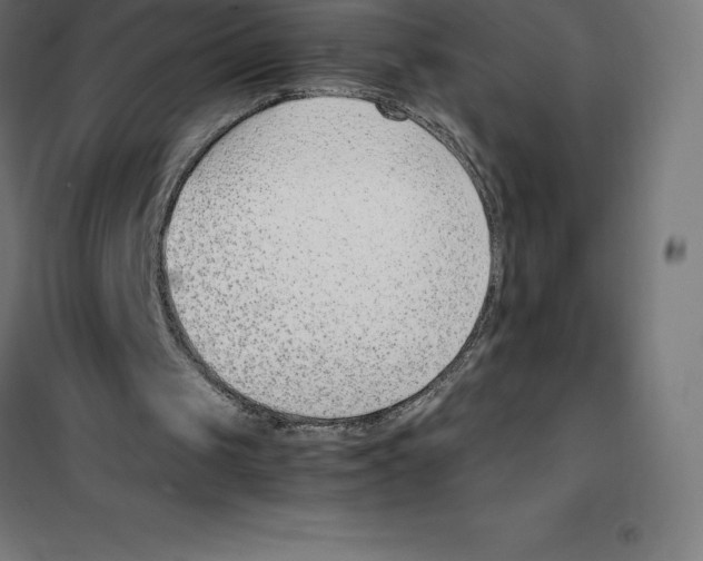 X0000100380049200807031935