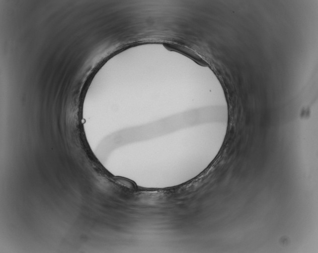 X0000100380050200807031935