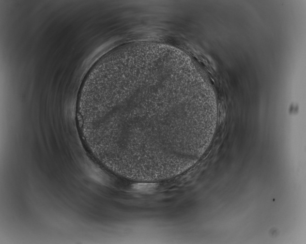 X0000100380051200807031935