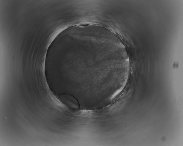 X0000100380052200807031935