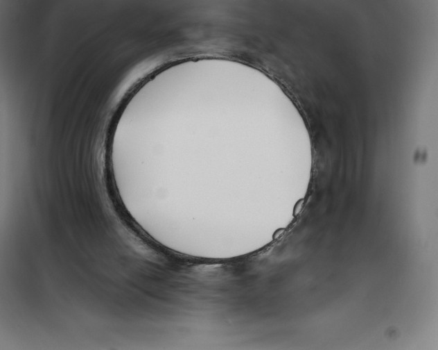 X0000100380054200807031935